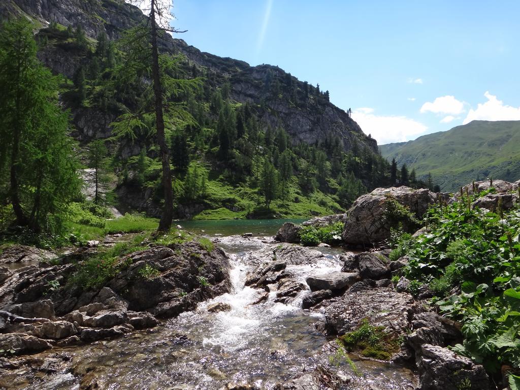 Ausserraingut Flachau Exteriör bild