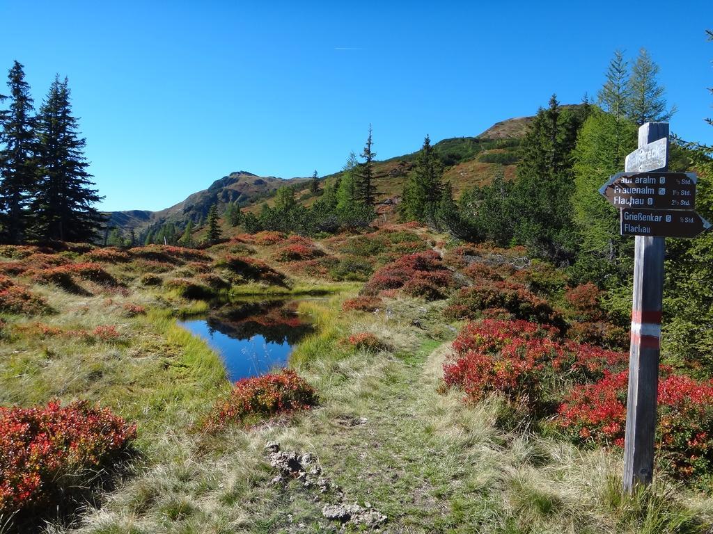 Ausserraingut Flachau Exteriör bild
