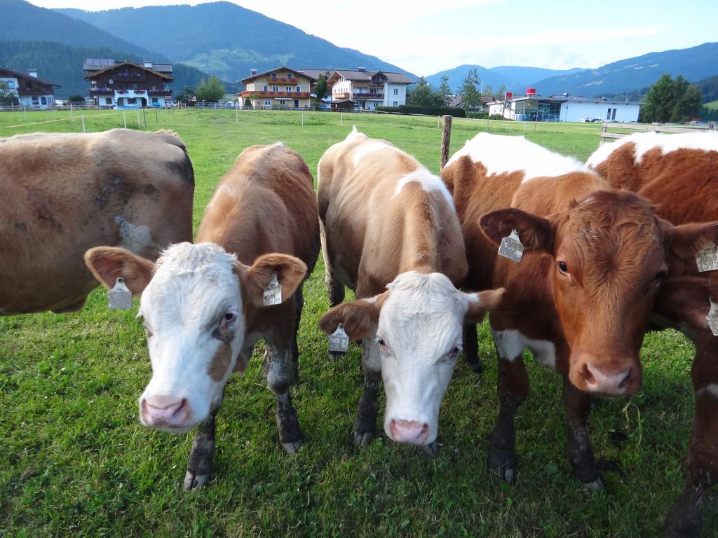 Ausserraingut Flachau Exteriör bild